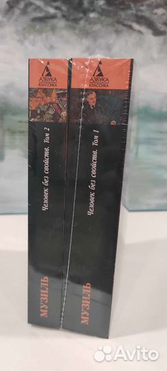 Музиль. Человек без свойств