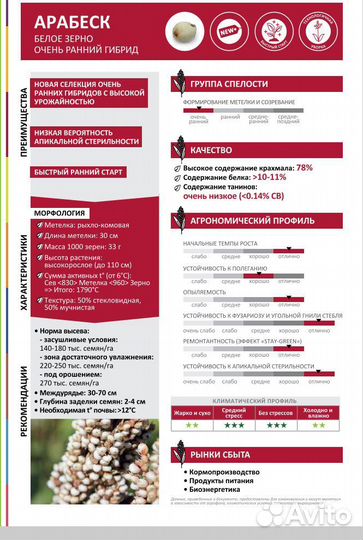 Сорго зерновое