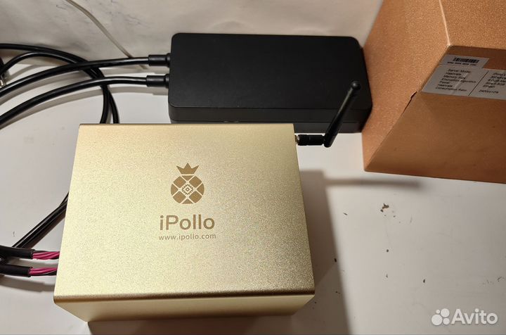 Ipollo v1 mini