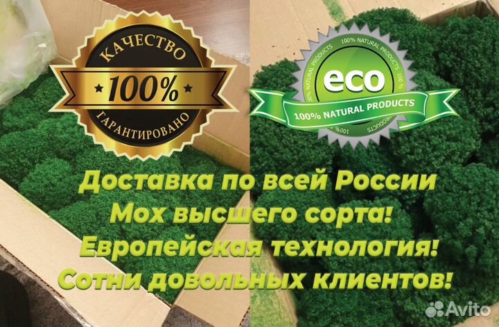 Стабилизированный мох без иголок,без корешков