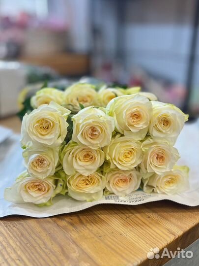 Пионовидные розы