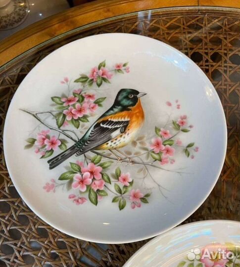Настенная тарелка птицы kaiser