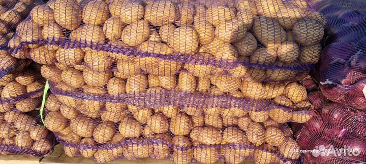 Картошка оптом краснодарский край