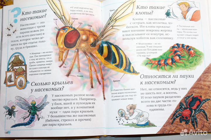 Детская энциклопедия 