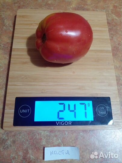 Семена низкорослых томатов