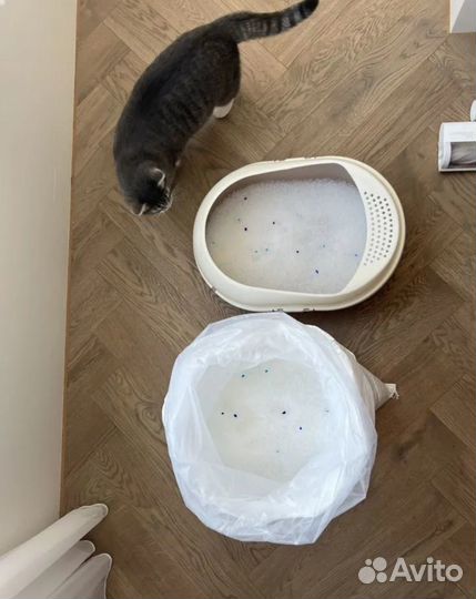 Наполнитель для кошачьего туалета