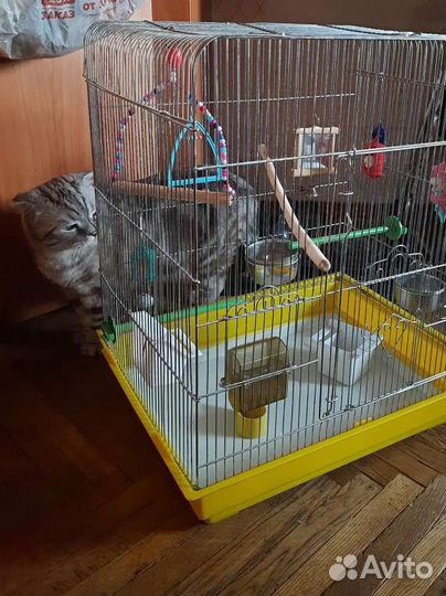 Клетка для попугая