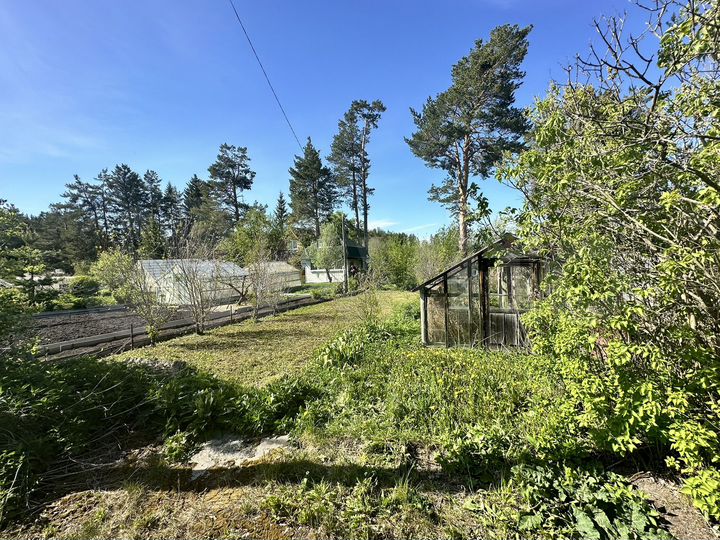 Участок 6,2 сот. (СНТ, ДНП)