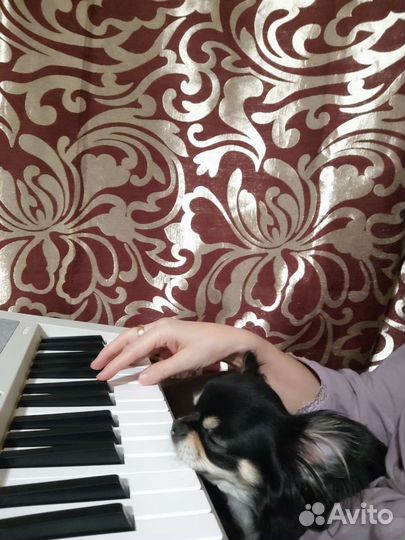 Цифровое пианино Casio CT-S1WE (белый)