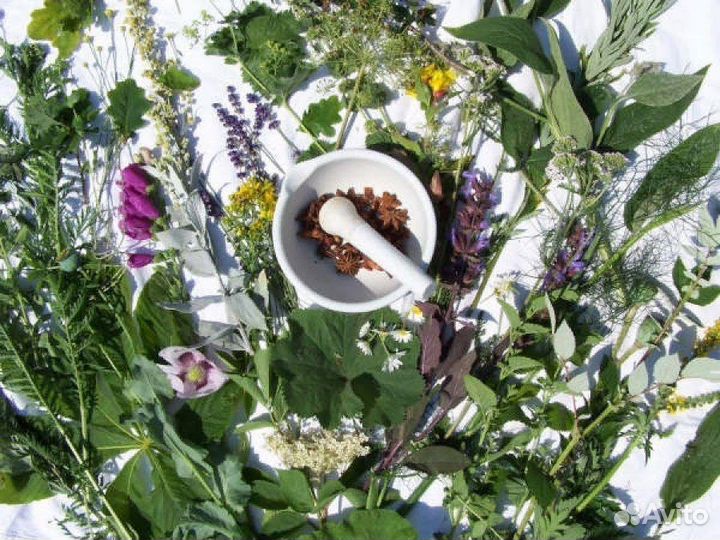 Сбор травяной от паразитов