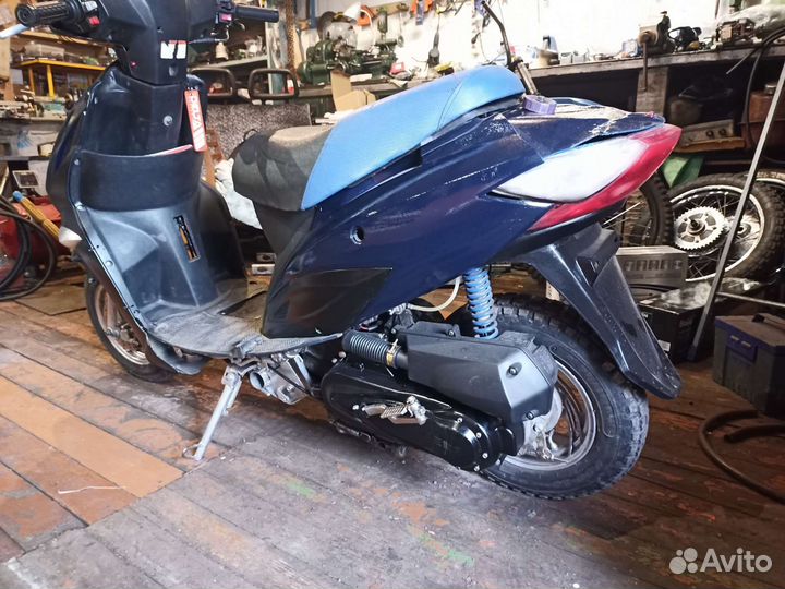 Ирбис каори