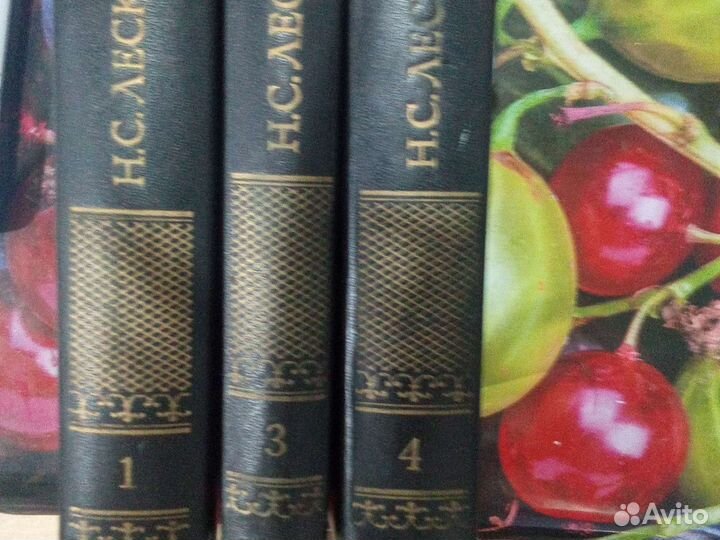 Книги Н.С. Лесков и В. Н. Войнович