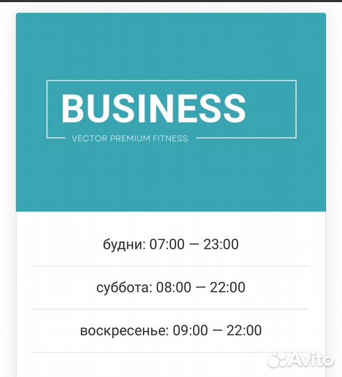 Абонемент Vector Premium