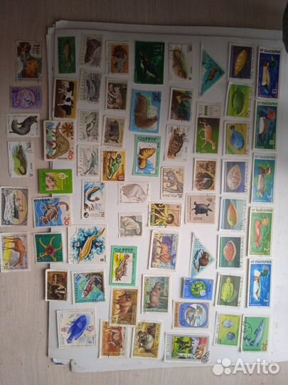 Почтовые марки