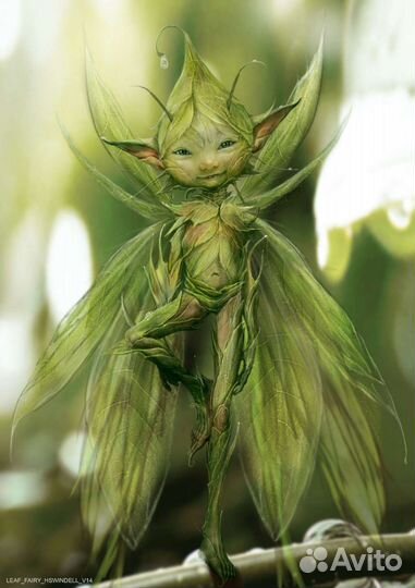 Питомник растений Flower Fairy