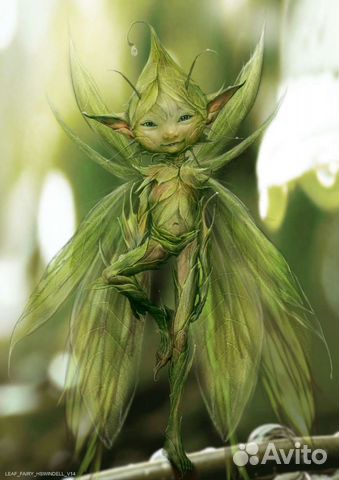 Питомник растений Flower Fairy