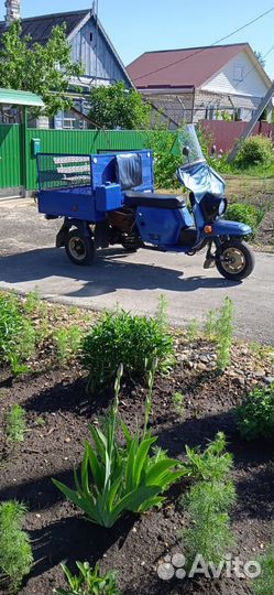 Мотороллер муравей 2м