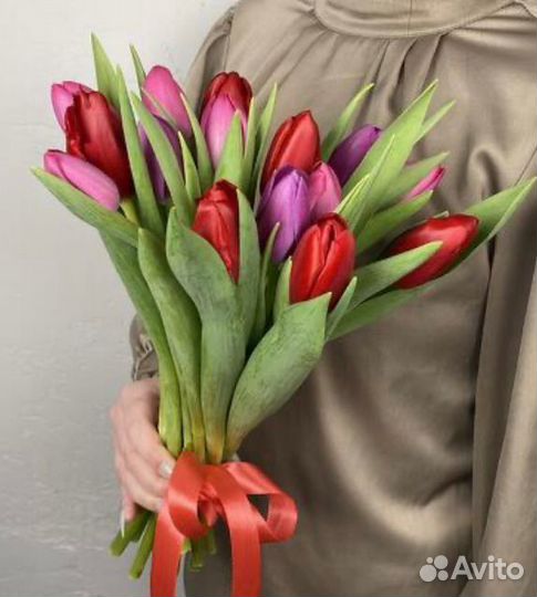 Тюльпаны Краснодар 70см +