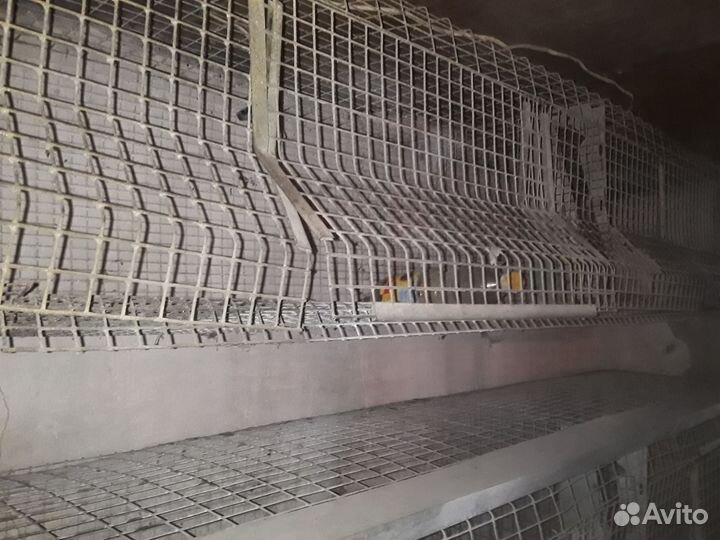 Клетки для сх птицы