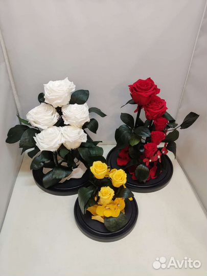 Роза в колбе оптом и в розницу