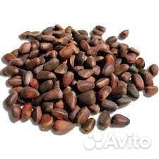 Кедровый орех продать
