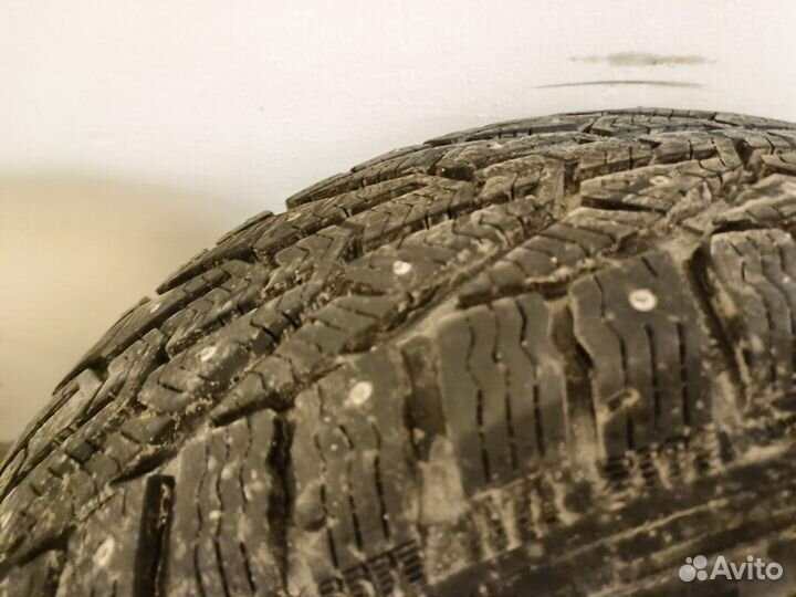 Tigar Ice 205/55 R16