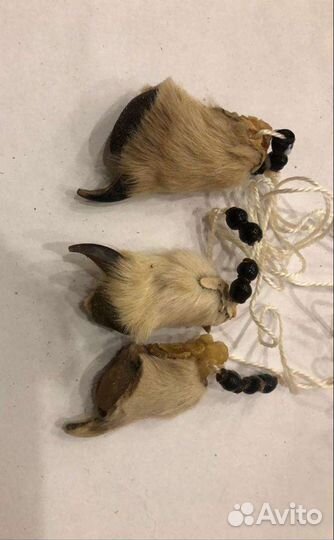 Когти и клыки волка