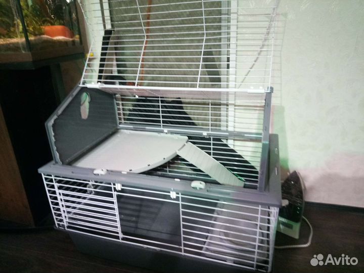 Клетка. Аквариум