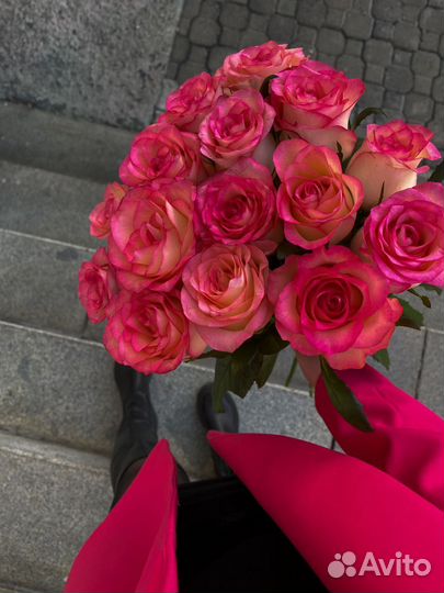 Букет свежих голландских роз 15 шт