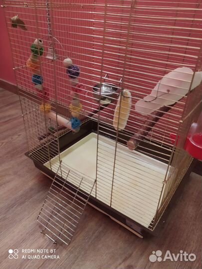Клетки гнезда доставка для попугаев