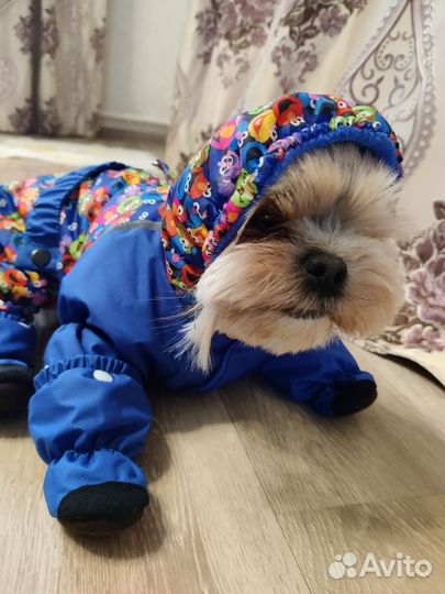 Изготовление комбинезонов для собак и кошек