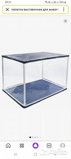 Собаки и кошки