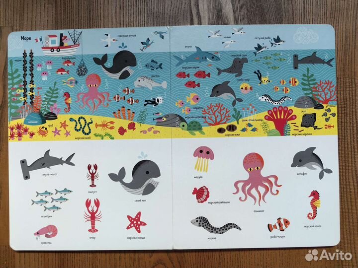 Книга-картонка 