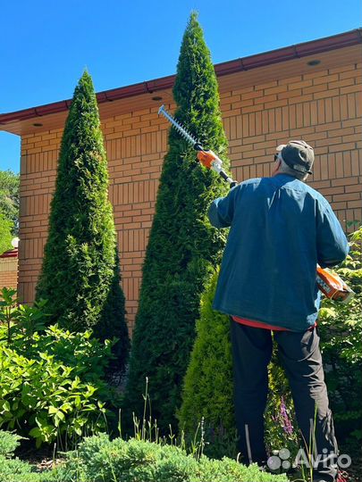 Уход за садом