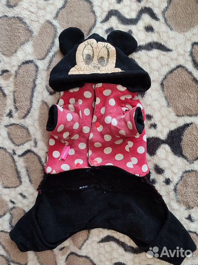 Одежда для собак мелких пород