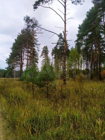 Участок 2,6 га (СНТ, ДНП)