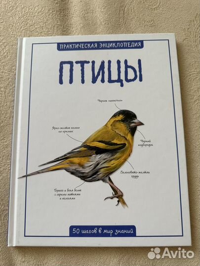 Энциклопедии для детей