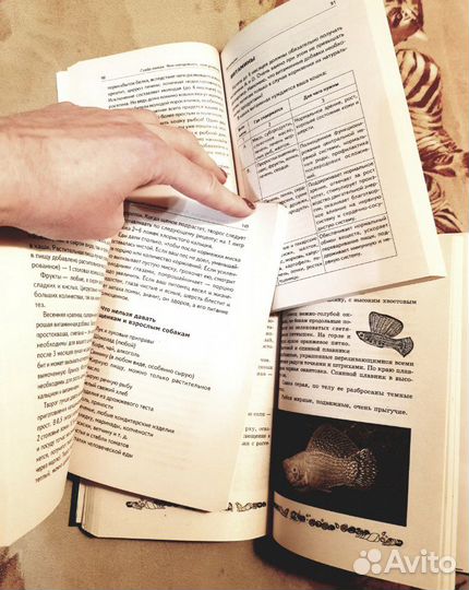 Книги о котятах, щенках, рыбках (новые)