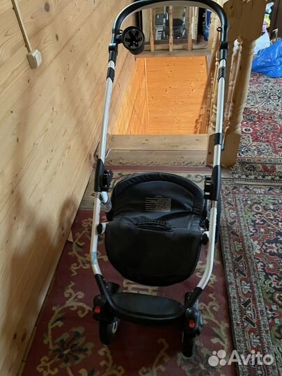 Коляска 2 в 1 adamex barletta экокожа