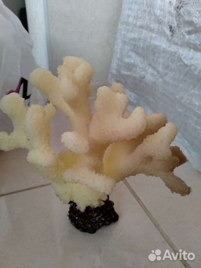 Коралл искусственный