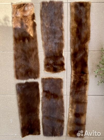 Мех норки шкурки