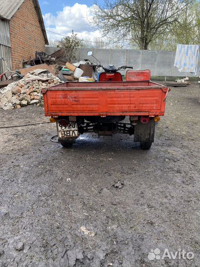 Муравей тмз-5