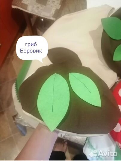 Шапочки грибов