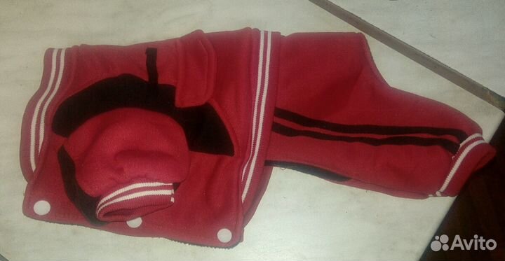 Спортивный костюм для собачки