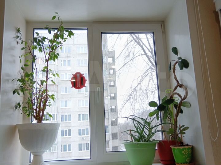 2-к. квартира, 25,5 м², 3/5 эт.