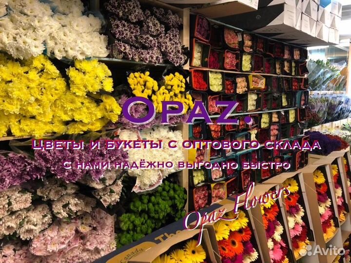 Розы Цветы Букеты Доставка 101 роза 51 роза 25 роз