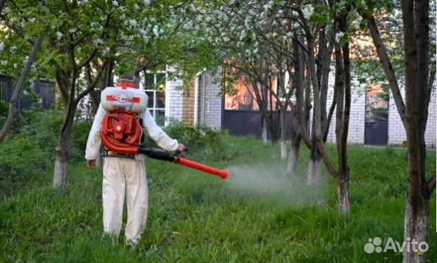 Уничтожение клопов травить тараканов Дезинфекция