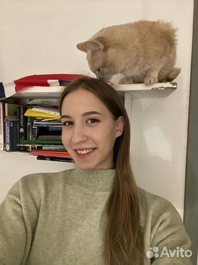 Выгул/Няня для питомца/Передержка