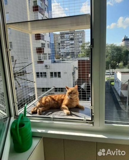 Балкон для кошек
