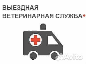 Ветеринар на дом, усыпление и кремация животных